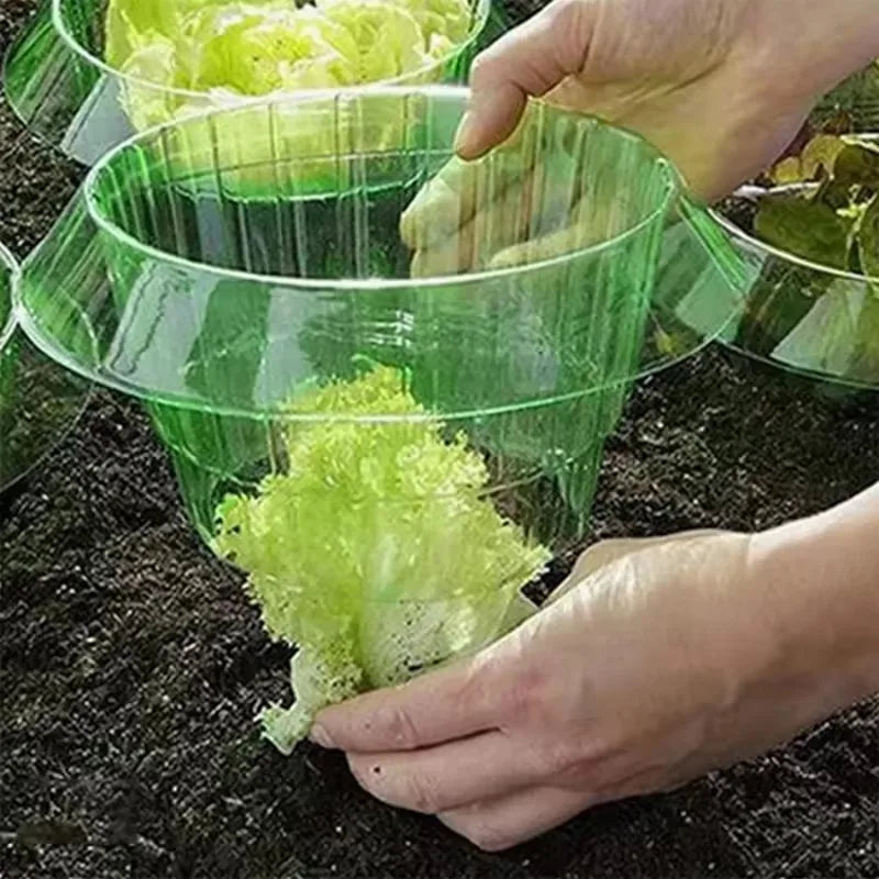 Lot de 10 Cloches Anti-escargots Réutilisables