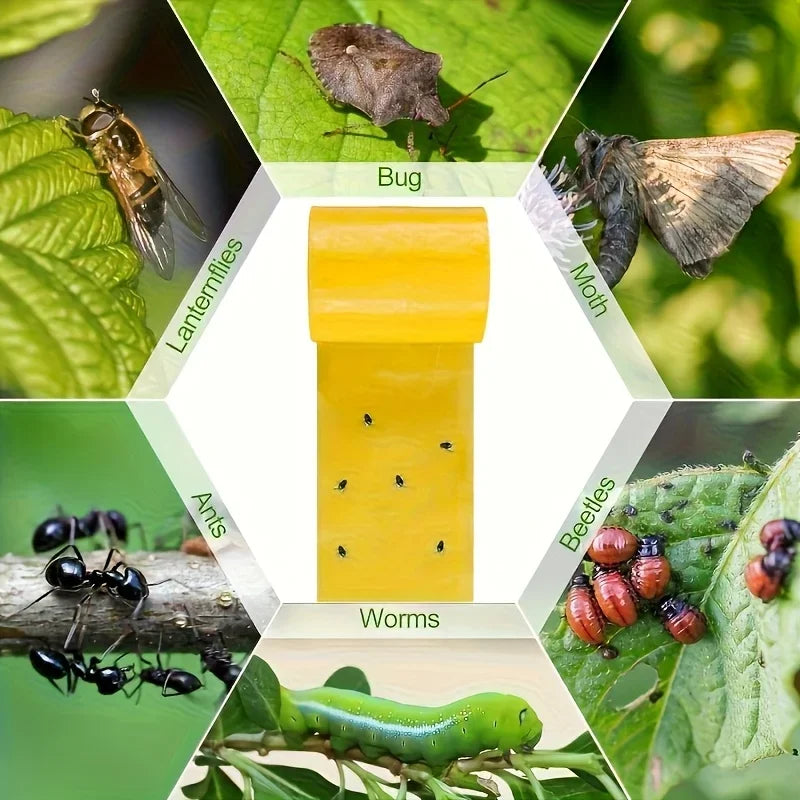 Ruban adhésif jaune anti-insectes 10cm x 5m — piège collant jardin & arbres