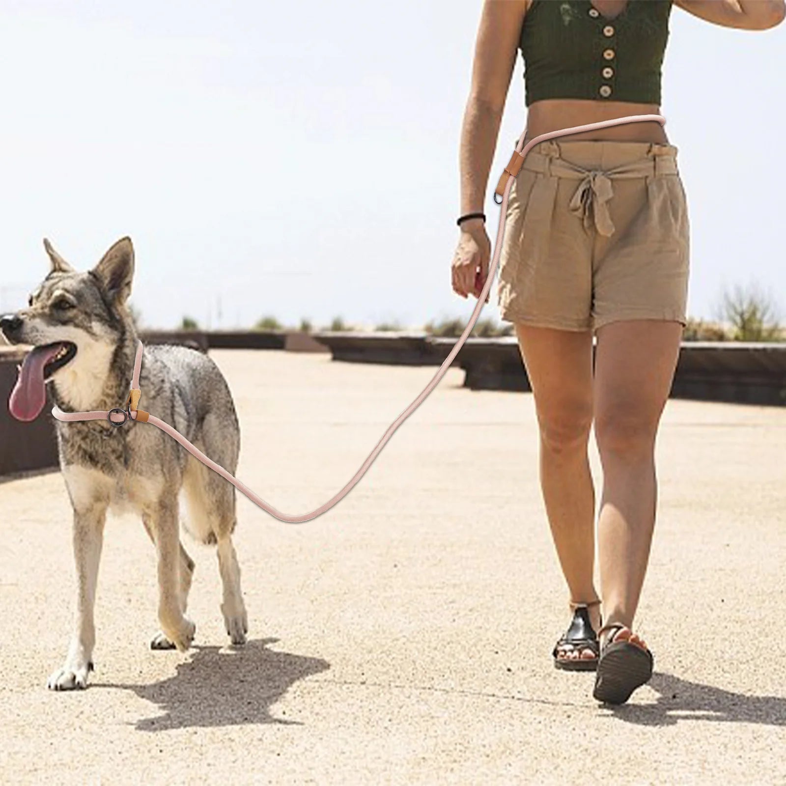 Laisse de Chien Multifonction 3-en-1 pour Course & Promenade – Utilisation Main, Taille ou Bandoulière