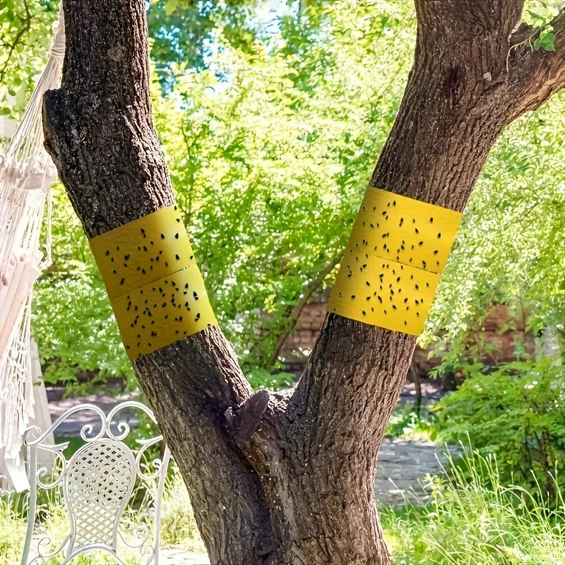 Ruban adhésif jaune anti-insectes 10cm x 5m — piège collant jardin & arbres