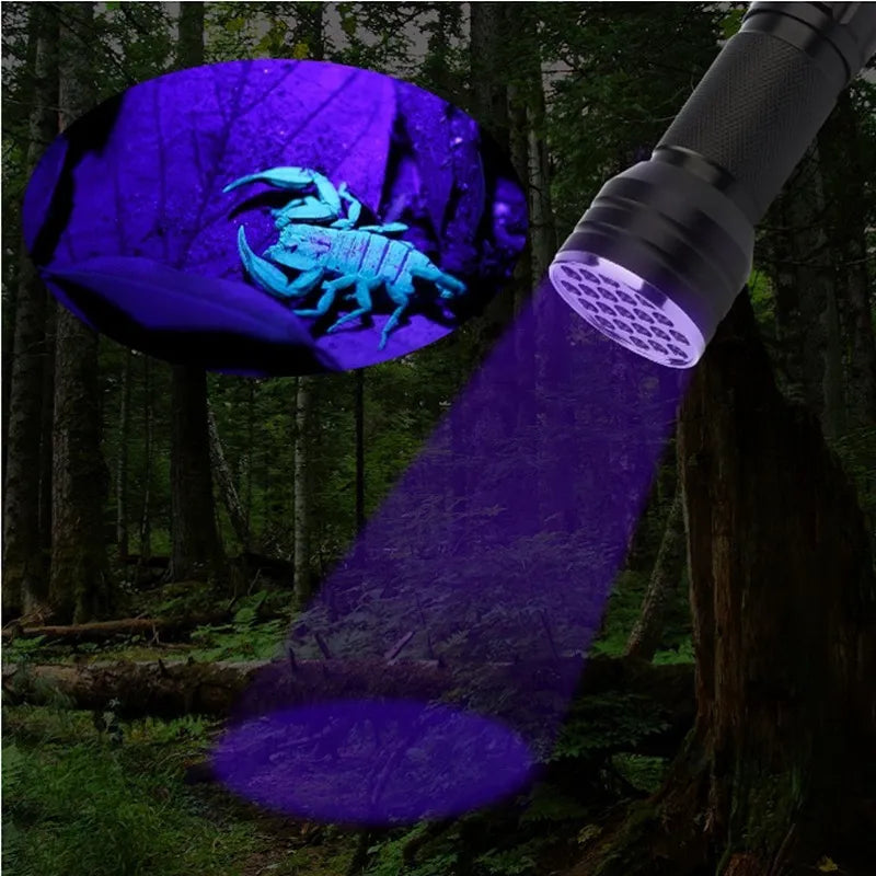 Torche 21 LED UV