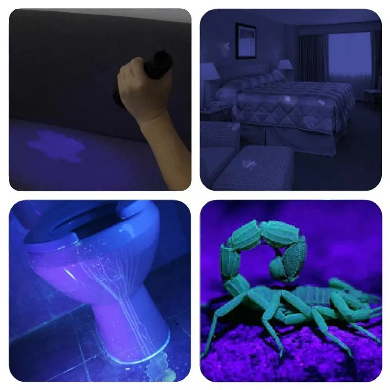 Torche 21 LED UV