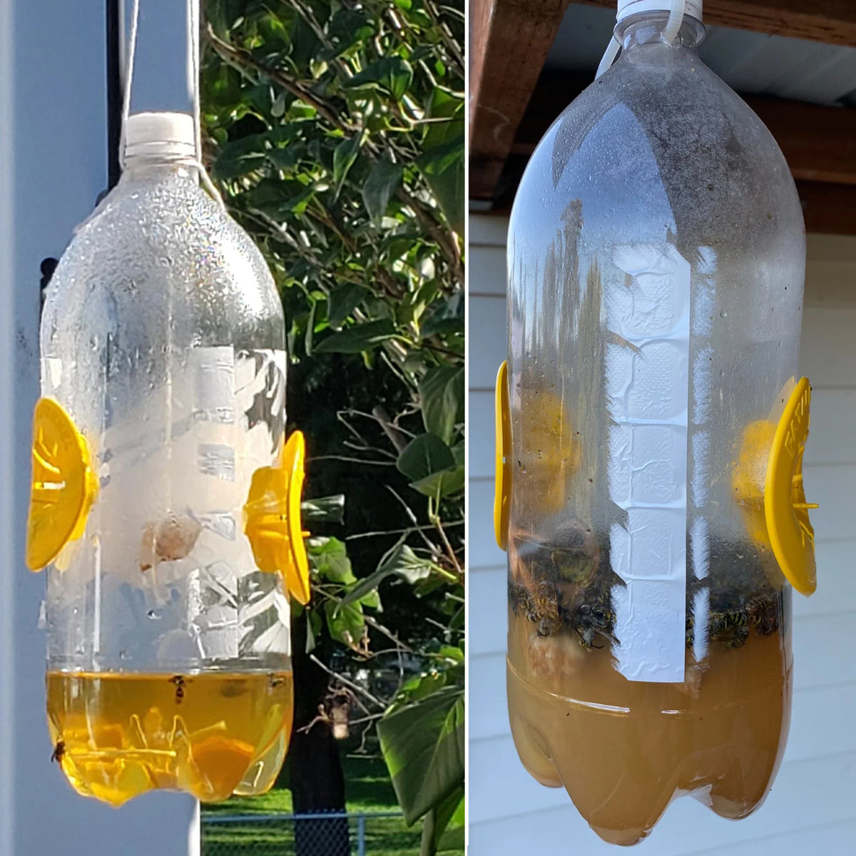 Lot de 10 Pièges réutilisable à guêpes et frelon en forme de fleur pour bouteilles
