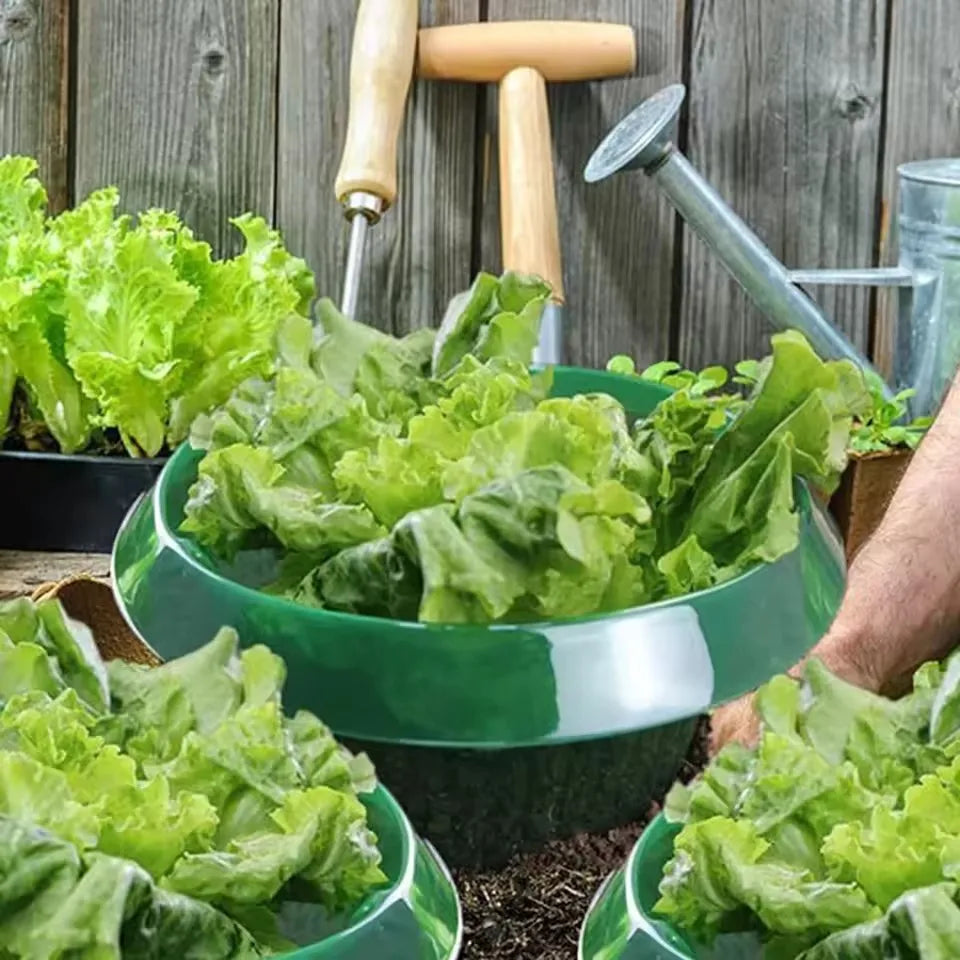 Lot de 10 Cloches Anti-escargots Réutilisables