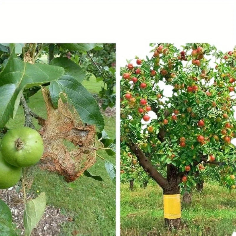 Ruban adhésif jaune anti-insectes 10cm x 5m — piège collant jardin & arbres