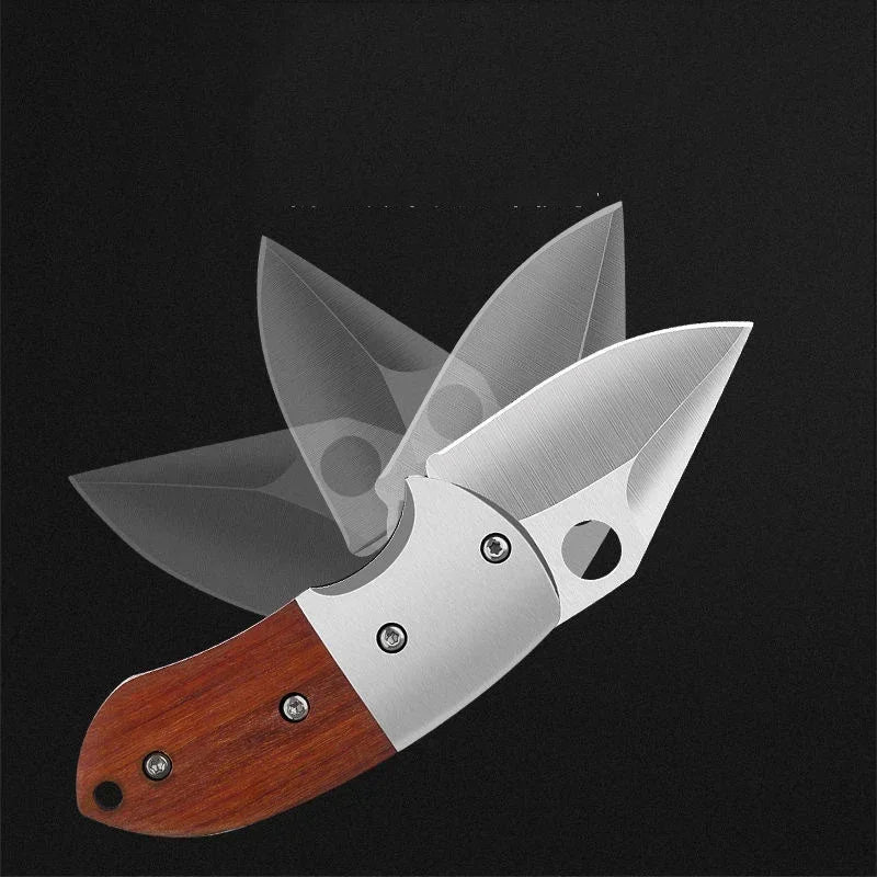 Couteau Pliant Élégant – Acier Inox & Bois
