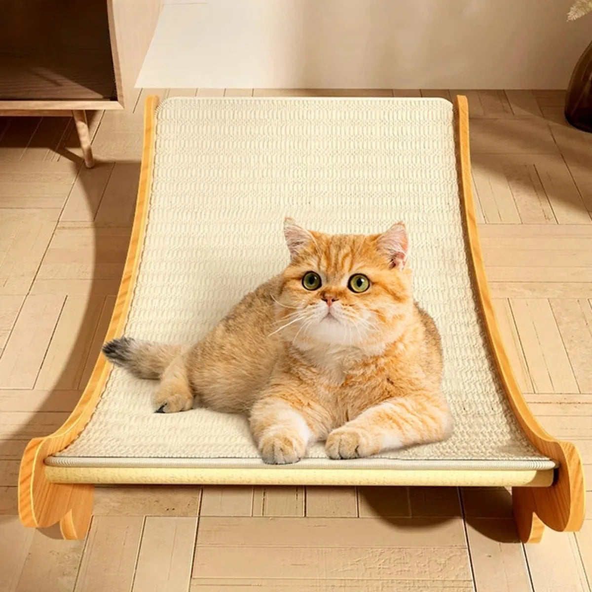 Planche griffoir pour Chats