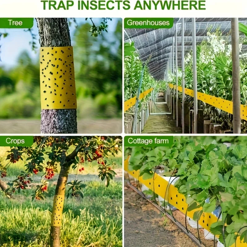 Ruban adhésif jaune anti-insectes 10cm x 5m — piège collant jardin & arbres