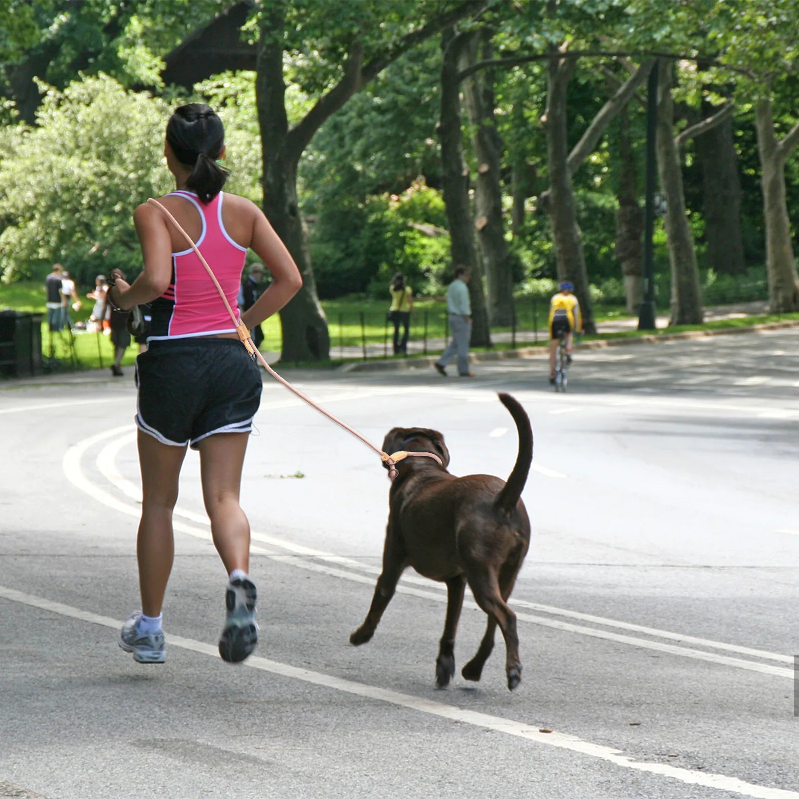 Laisse de Chien Multifonction 3-en-1 pour Course & Promenade – Utilisation Main, Taille ou Bandoulière